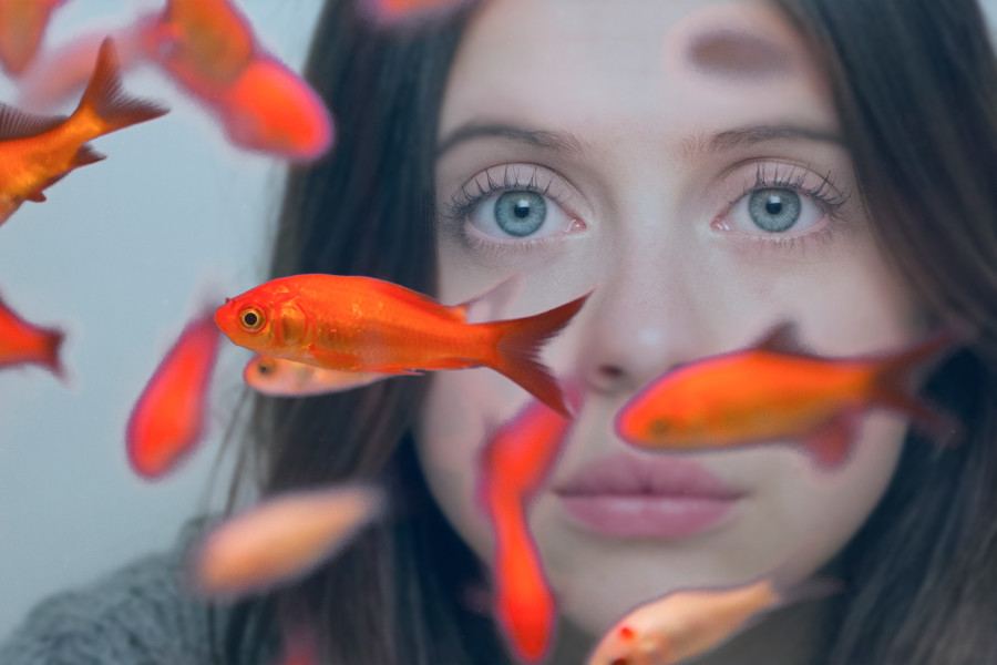 Bartell_Carrie Pilby_Susan_Johnson